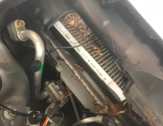 A car cabin air filter partially covered with dry leaves and debris, located under the hood near various cables and metal components.